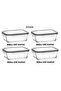 Feyzade Fresh Storage Container Set 4 Pieces 800Cc with Gray Lid (Frs-239)