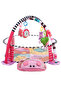 Hippo Designed Activity Play Gym with Ball Pit - 7