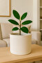 Jute Wicker Multi-Purpose Decorative Organizer Flower Pot Basket Garden Organizer Basket Width 25 Length 20 cm - 2