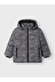 Puffer Jacket Dinosaur