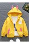 Raincoat & Windbreaker Lightweight Jacket