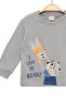 Girls Boys Thin Seasonal 100% Cotton Long Sleeve Teddy Bear Patterned Unisex Gray T-Shirt - 4
