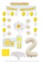 Best 2 Year Old Daisy Themed Birthday Party Set