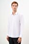 Men's White Basic Plain Pattern Hard Neck Regular Fit Shirt - 2