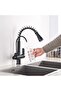 Kitchen Sink Faucet Dual Flow Water Purification Outlet Fountain Matte Black 7 Years Warranty Imported - 5