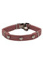 Velvet Bell Heart Cat Collar Powder - 2