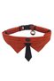 Velvet Bell Tie Cat Collar Orange - 2