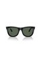 RAYBAN 0RBR0502S 6677VR 53 - 5