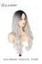 Long Straight Wig Grey - 2
