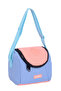 Multi Color Lunch Bag - 2