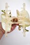Orchid Flower Pearl Latch Buckle 10 cm Double Sided 1 Piece - 3