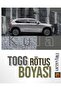 TOGG KULA GRAY - 25 مل طلاء ترميم أصلي