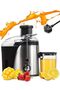 Juicer Machine, High-Efficiency 800W Multi-Speed Mini Juicer, Stainless Steel, BPA-free - 2