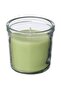 LÖVSKOGSLUND Scented Candle in Glass, Apple/light green, 20 hr