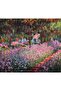 Framed Monet-Inspired 2D Wall Art 60x60 cm – Home Decor