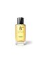 عطر بلايت BLIGHT
