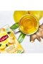 Lemon Ginger Herbal Infusion Tea 20 Teabags Naturally Caffeine Free Soothing Citrus Spice - 2