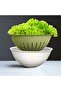 Bowl Strainer 3 Lt Green - 5