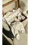 100% Cotton Organic Duck Printed Newborn Hospital Discharge Set 5 Pieces - 2