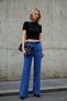 Blue High Waist Wide Leg/Wide Leg Pleated Woven Fabric Pants Twoaw21Pl0076