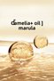 Miraculous Oil Nourishing Care Shampoo 400 ml Set of 2 - 4