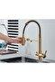 Kitchen Sink Faucet Dual Flow Water Purification Outlet Spiral Fountain Imported Matte Gold - 6