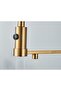 Kitchen Sink Faucet Dual Flow Water Purification Outlet Spiral Fountain Imported Matte Gold - 3