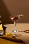 Nude Big Top 6-Piece Cocktail Glass 235 Cc 67306 - 3
