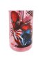 Water Bottle 500 ml Red Color 1 Piece Boy's Spiderman Licensed Water Bottle School Water Bottle - 3