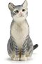 Cat Sitting 13771