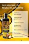 Moroccan Argan Oil Shampoo & Conditioner Set, 900ml Each, Sulfate-Free, Anti-Hair Fall - 4