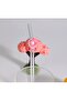 Glass Pipet Donut - Dessert - Colorful - Party