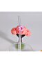 Glass Pipet Donut - Dessert - Colorful - Party