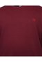 Plus Size Doubleface Crew Neck Sweatshirt (Wide Comfortable Fit) - 4