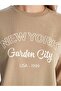 Lcw Modest Beige Crew Neck Printed Women's Sweatshirt Tunik - 3