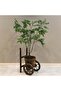 Rustic Wooden Bicycle Planter Cart – Decorative Flower Barrel with 3 Wheels for Garden, Pa - 5