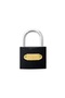 Short gray 63 mm hanging lock - 2