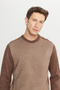 Men's Brown-Beige Standard Fit Regular Cut Crew Neck Jacquard Knitwear Sweater - 4