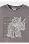 Boy's Map Dinosaur Print Long Sleeve T-Shirt 2-10 Years Gray - 6