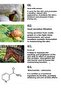 Set of 4 Snail and Goat Milk Face Masks - 4