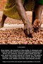 Shea Butter 250 ml |   100% Raw, Cold Pressed Shea Butter |   Dry Skin, Hair, Lip, and Heel Care - 4