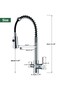 Kitchen Sink Faucet Dual Flow Water Purification Outlet Spiral Fountain Imported Matte Gold - 8