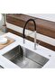 Kitchen Sink Faucet with Dual Flow Water Purification Outlet, Spiral and Spout, Nickel, 7 Year Warranty, Imported - 3