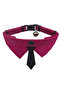Velvet Bell Tie Cat Collar Fuchsia - 2