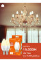 لمبة شمعة LED بقوة 5 وات C37 E14، عبوة من 6 قطع - أبيض دافئ 3000 كلفن - 400 لومن، ما يعادل 35 وات، غير قابلة للتعتيم - 5