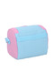Multi Color Lunch Bag-Pink and Blue - 4