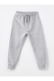 Lcw Kids Ecru Crew Neck Long Sleeve Printed Baby Boy T-Shirt and Sweatpants 2-Piece Set - 4