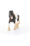 Tinker Stallion 13831 - 2