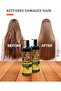 Moroccan Argan Oil Shampoo & Conditioner Set, 900ml Each, Sulfate-Free, Anti-Hair Fall - 3