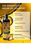 Moroccan Oil Shampoo and Conditioner Set - Sulfate Free, Perfect for Damaged, Dry, Curly, Friz - 7